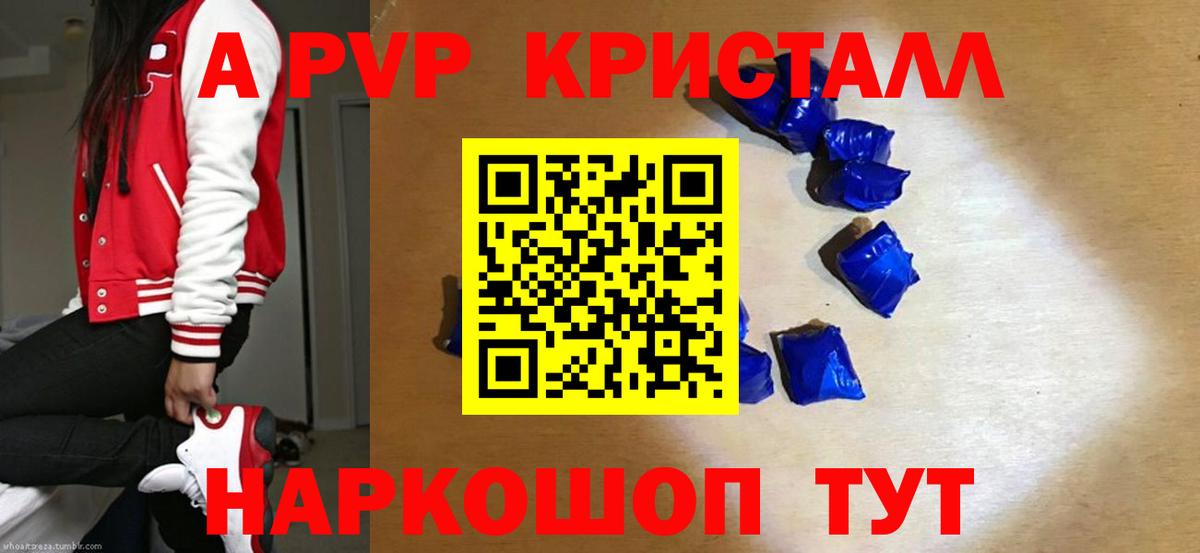 Альфа ПВП СК Новодвинск