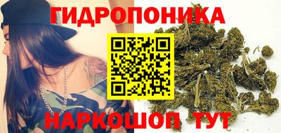 spice Гатчина