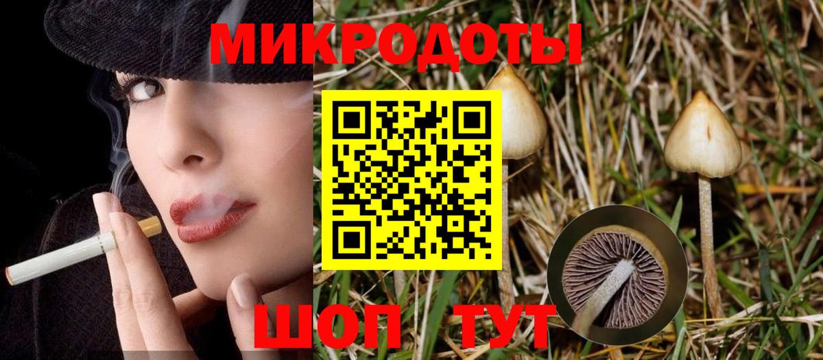 Псилоцибиновые грибы Magic Shrooms Новодвинск